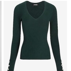 Express EMBELLISHED CUFF FITTED V-NECK SWEATER